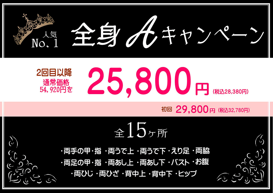 全身Xキャンペーン